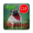 icon Gif Afrikaans Morning & Night 2.08.03