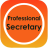 icon Professional Secretary 1.0