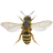 icon Bee 1.22