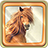 icon Horses Live Wallpaper 1.3