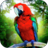 icon Jungle Parrot Simulatortry wild bird survival! 1.3