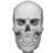 icon Bones 3D Anatomy 3.0.9