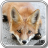 icon Fox Wallpaper 1.5