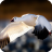 icon Goose Wallpaper 1.5