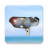icon Truly Telescope 3.0