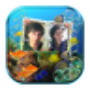 icon Couple Photo Aquarium Lwp for Samsung S5830 Galaxy Ace