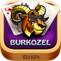 icon Burkozel HD