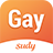 icon SudyGay 2.0.5