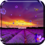 icon Lavender Live Wallpaper