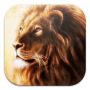 icon Lion Live Wallpapers