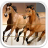 icon Horse Puzzle Game 1.0