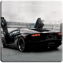 icon Aventador Simulator