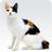 icon Cat sounds 1.23