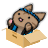 icon Cat Hanabi 1.7.1