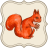 icon Squirrel in forest 1.02