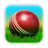 icon Cricket 3D 1.8