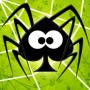 icon Spider Web