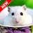 icon Hamster Wallpapers 2.2
