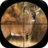 icon Deer Hunting Calls 2.0