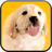 icon Puppy Licks Screen 3.0