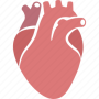 icon CardioApp Beta - Кардиология