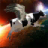 icon Flying Cow Rescue the Galaxy 1.0.1