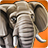 icon WL Africa 1.1