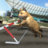 icon Crazy Cat Racing 1.3