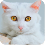 icon Talking Cute Cat for Sony Xperia XZ1 Compact