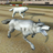 icon Wild Wolf Racing Game 1.1