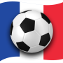 icon Jalvasco Euro 2016