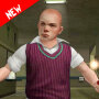 icon High School Gangster Bully Boy 3D: Karate Fighting