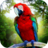 icon Jungle Parrot Simulator 1.0