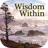 icon Wisdom Within 64.2.1