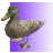 icon Feed the Duck 3D 1.0