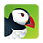 icon Puffin 7.7.1.30436