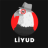 icon Liyud 3.24.2.1