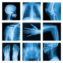 icon Medical X-Ray Interpretation