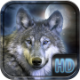 icon Wolf Live Wallpaper HD