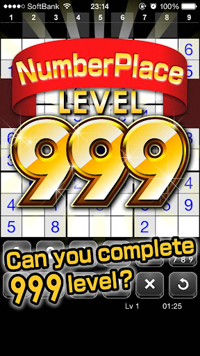 Number Place Lv999