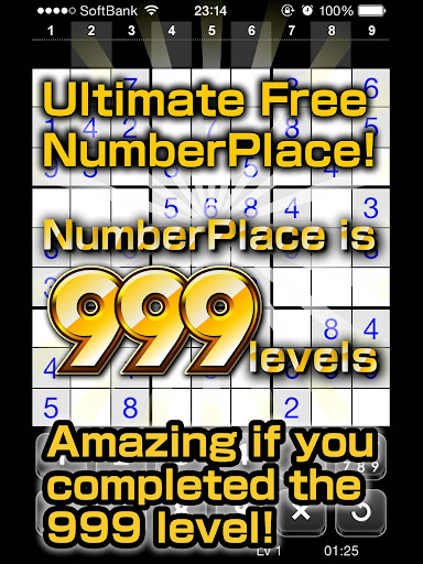 Number Place Lv999