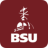 icon BSU Mobile 2020.10.0530 (build 10171)