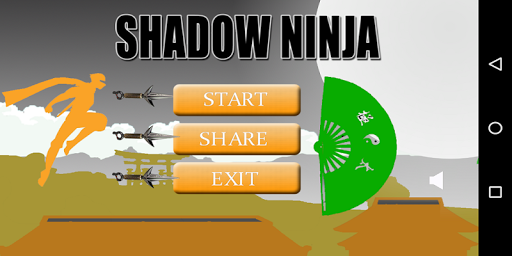 The Shadow Ninja Fight