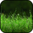 icon Grass Wallpapers 2.0
