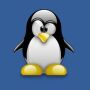 icon Penguin - Easy Way to Earn Money for Samsung S5830 Galaxy Ace