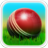 icon Cricket 3D 1.8.1
