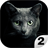 icon Find a cat 2 1.3