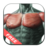 icon Best Chest Workout 1.0.1
