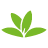 icon org.plantnet 2.3.1