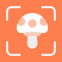 icon Mushroom ID